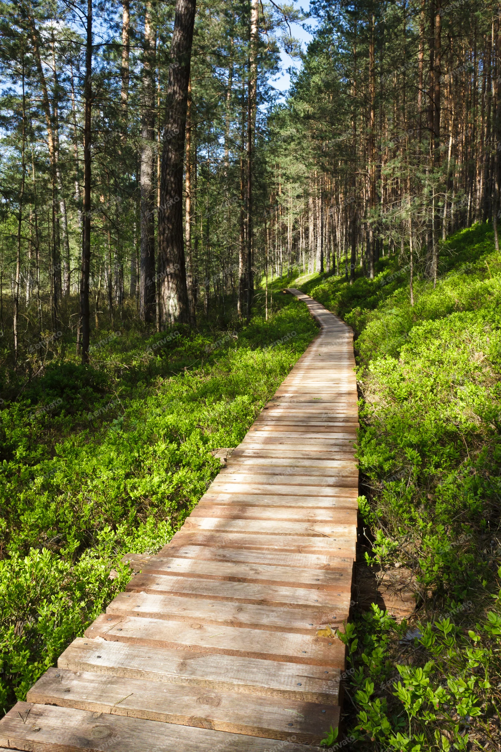 För kommuner